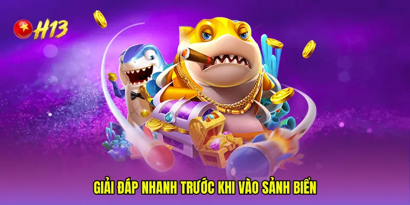 Giải đáp nhanh trước khi vào sảnh biển